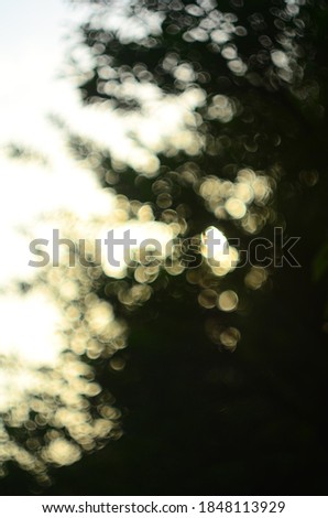 Bokeh effect with white and yellow round shapes and green background, created by taking picture of a tree and sky shining through its branches , using vintage lens Helios