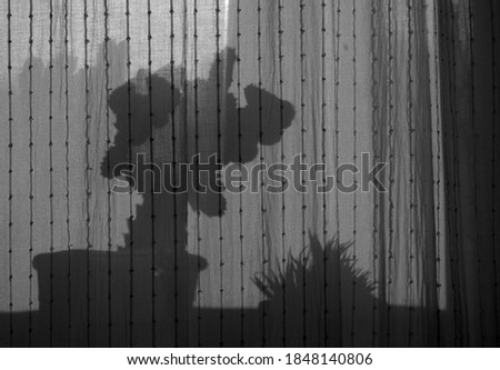Openwork shadows on the curtain from plants standing on the windowsill close-up. The shade of the tulle curtain. Abstract textured cotton fabric background. Black and white picture.
