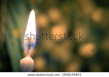 Isolated burning candle in front of beautiful natural blurred background