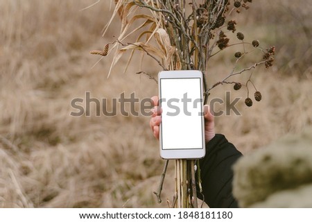 Smartphone mockup. Against the background of dry autumn grass