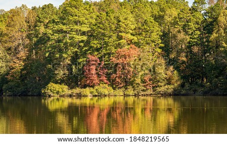 Beautiful Fall Color from Red Leaves on the Shore of a Placid Lake.