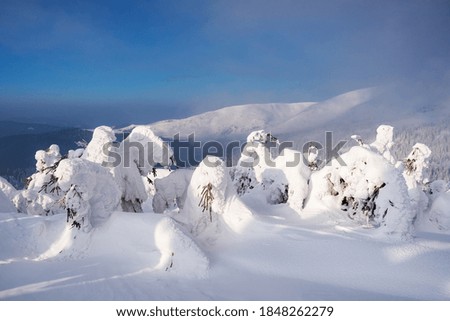 Fantastic winter landscape with snowy trees. Carpathian mountains, Ukraine, Europe. Christmas holiday background. Landscape photography