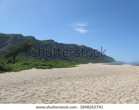 Footprints cover a sandy beach on tropical Oahu.
