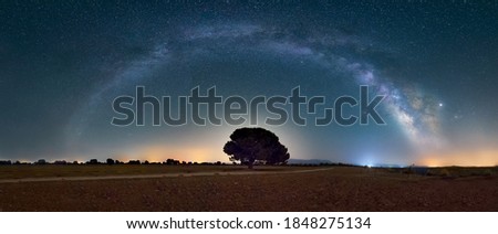 Milky Way arch over an ancient tree