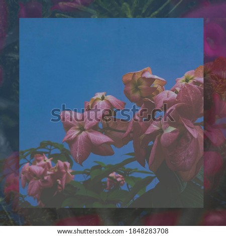 Composite Image of Flowers in a Background of More Flowers. 