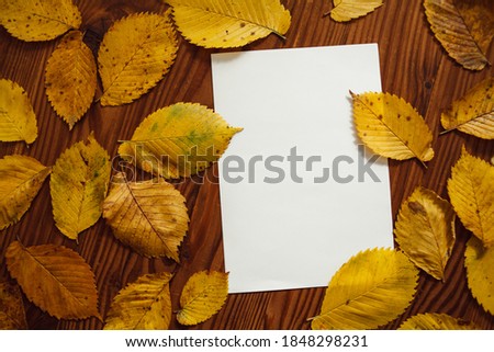 Yellow autumn leaves and blank paper with space for text, on wooden background. Autumn background composition. Still life from autumn leaves.