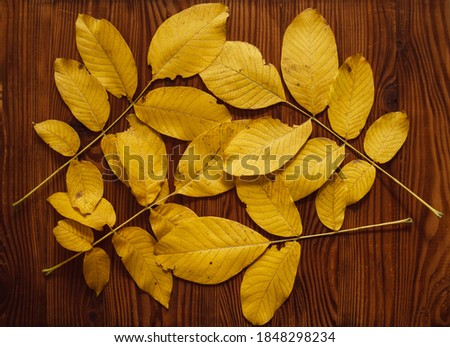 Yellow autumn leaves on wooden background. Composition with autumn leaves. Autumn leaves bouquet. Still life from autumn leaves.