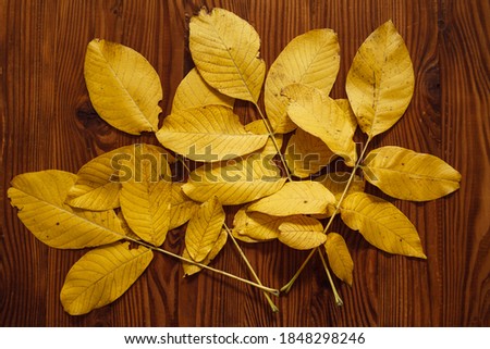 Yellow autumn leaves on wooden background. Composition with autumn leaves. Autumn leaves bouquet.
