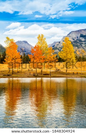 Magical fall scenery in a beautiful September afternoon at Quarry Lake, Alberta, Canada, with emerald lake, golden orange trees alongside and reflected in the lake