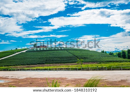 Choui Fong Tea Plantation on a hill that is famous in Chiang Rai and is a popular tourist destination in Thailand. Royalty-Free Stock Photo #1848310192