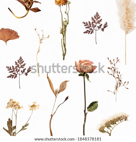 Natural dried flower wallpaper pattern Royalty-Free Stock Photo #1848378181