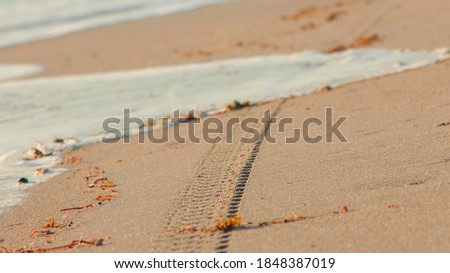 Close up of the beach sand