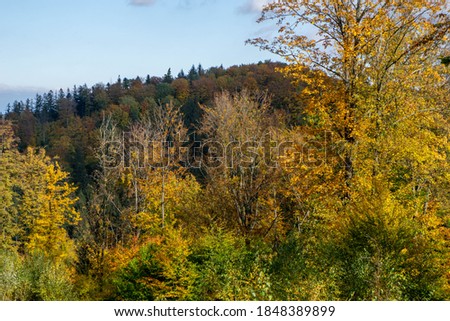 Colorful and bright autumn forest, mountains panorama. Autumn in the mountains. Owl Mountains.