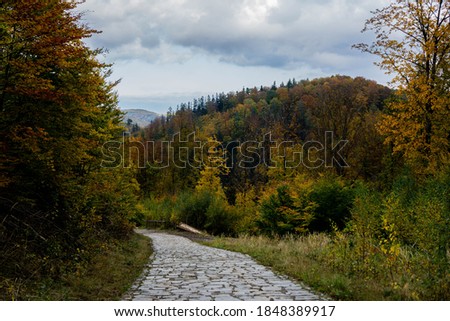 Colorful and bright autumn forest, mountains panorama. Autumn in the mountains. Owl Mountains.