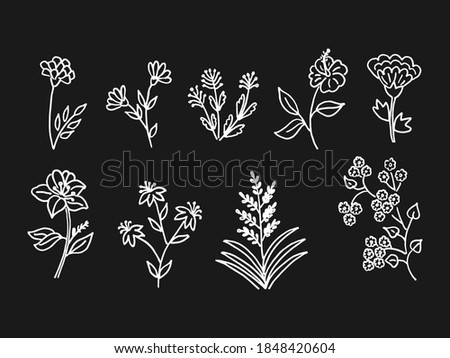 Set collection of hand drawn flower doodle vector illustrations.