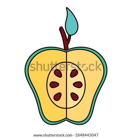 half apple green fresh fruit nature icon vector illustration design