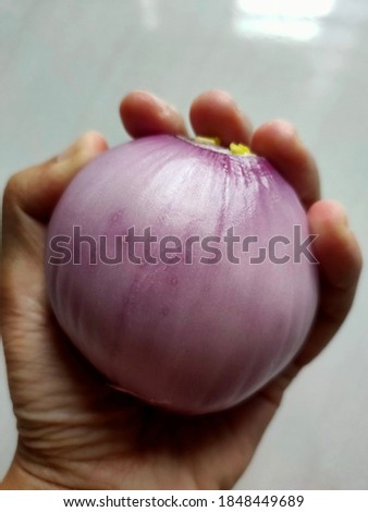 Hands holding peeled onions. Selective focus. Slight blurred image at back.