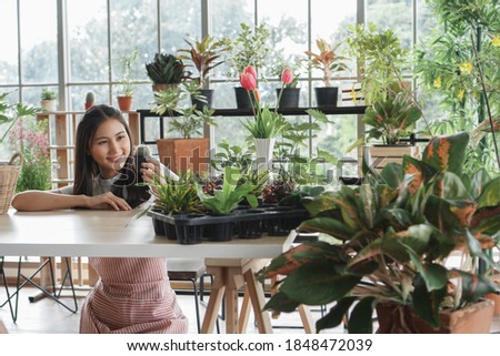 Portrait of happy young Asian female wearing apron uniforms holding and looking at her trees. take care of plants at home