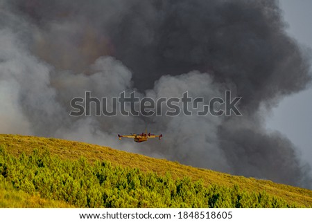 Impressive view of hydroplane flying towards the fire smoke with text space