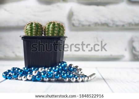 Close-up of two small cactuses in one black pot decorated for new year against background of white brick wall. Using cactus instead of Christmas tree. Concept of new year in arid countries, christmas.