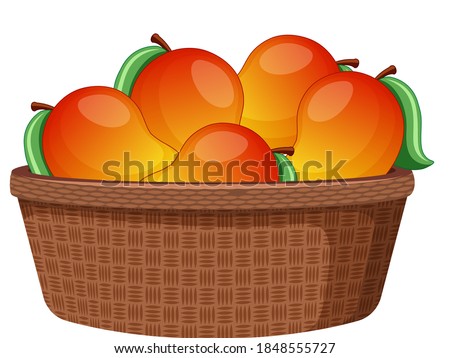 Mangos in the basket isolated on white background illustration