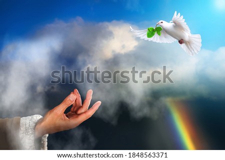 White dove bird returning to Noah carrying a freshly plucked olive leaf. Noah's ark bible story theme concept. Royalty-Free Stock Photo #1848563371