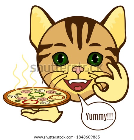 cat holds in hand a round pizza with about sweet bell pepper, sausage and olives and the other hand shows italian sign very tasty, belissimo, color vector clip art on white isolated background
