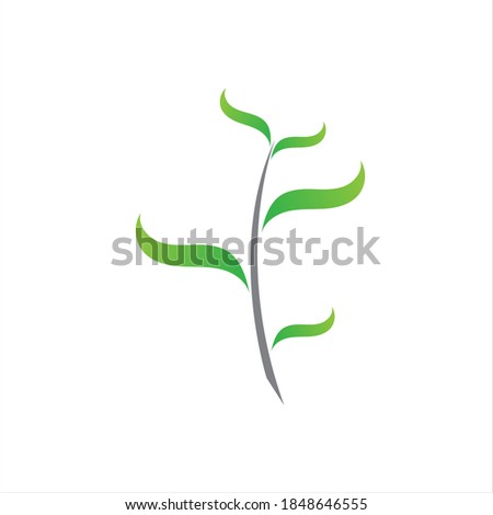 leaf logo vector illustration design template - vector