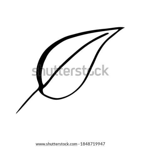 Hand drawn forest leaf. Vector illustration for  card, home decor. 
Isolated on white backdrop. 