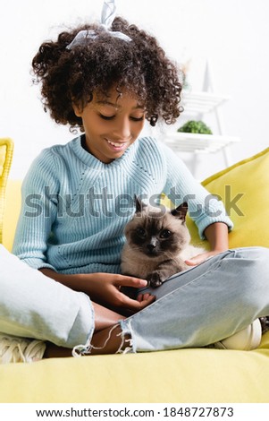 African american girl stroking and looking at cat, while sitting on sofa on blurred background