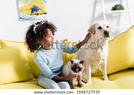 Curly girl smiling and stroking retriever, while sitting near siamese cat on yellow sofa, on blurred background