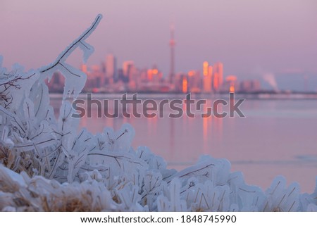 Frozen ice covered tree branches and Toronto city skyline out of focus in the background during Polar Vortex, colorful pink and orange sunset sky, frozen surface of Lake Ontario, sunset reflection. 