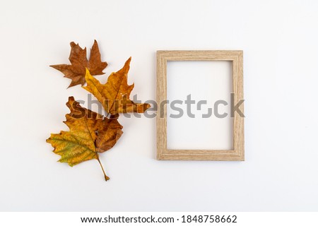 Minimal concept. Dry leaves on white backdrop with picture frame.