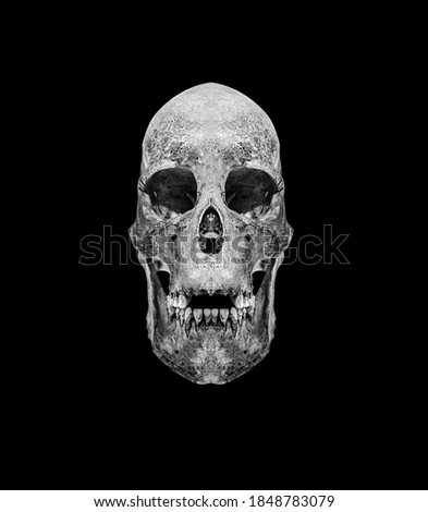 Skull isolated on a dark black background.