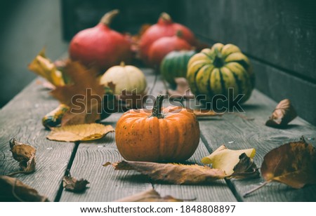 Colorful pumpkins with fallen leaves on a wooden veranda