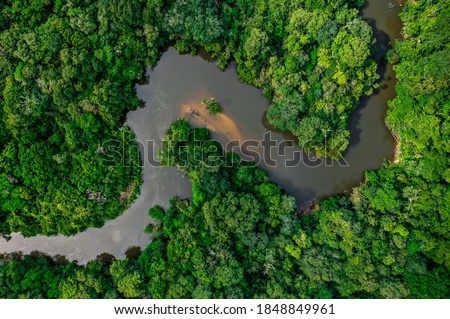 the jungle crossed by a river Royalty-Free Stock Photo #1848849961