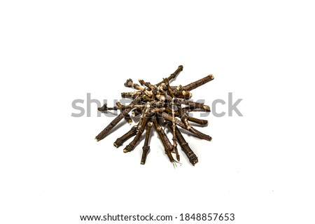 Macro of dry branches on a white background in high resolution.