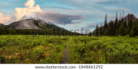 Panoramic View of Beautiful Vibrant Green Meadows in the Canadian Rocky Mountain Landscape. Colorful Sunrise Sky. Taken near Banff, boarder of British Columbia, Canada. Nature Background Panorama Royalty-Free Stock Photo #1848861292