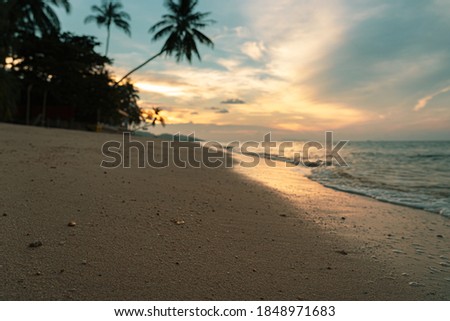 Wonderful sunset and surf on a wild sandy tropical beach in autumn. In the background, a silhouette of a palm trees.
