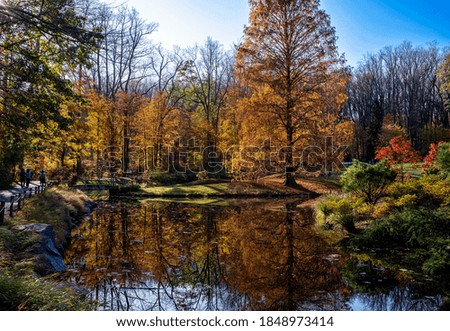 Fall colors by a rural pond