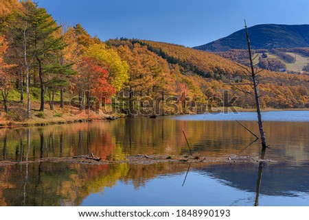 This is an autumn landscape in Lake Megami in Nagano prefecture, Japan.