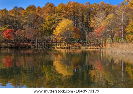 This is an autumn landscape in Lake Megami in Nagano prefecture, Japan.