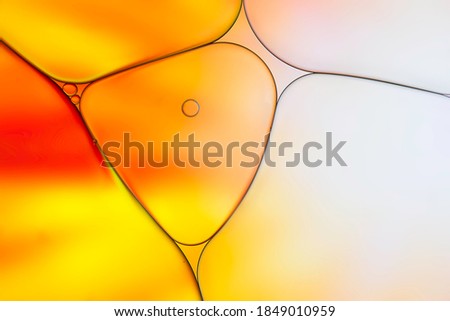 Oil bubbles on water abstract with colourful background.