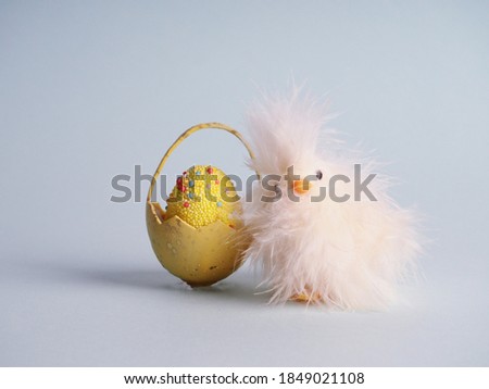 fluffy funny chicken chicken next to the shell, happy Easter, minimalism, copy space.