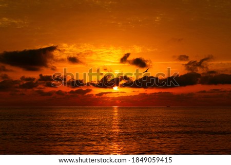 Natural beautiful sunrise over sea and horizon in the morning. Sunlight reflected on calm waves. Seascape under scenic colorful sky sunrise