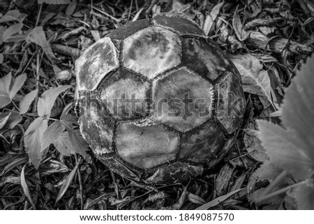 A soccer ball lost in the woods. An old and battered object. Gray background.