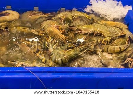 fresh shrimp counter for sale, fish market