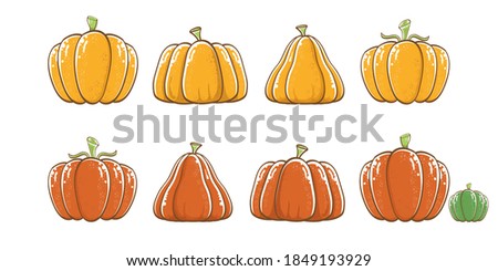 vector graphic orange pumpkins set isolated on white horizontal banner background. Cartoon hand drawn pumpkins collection for autumn, Halloween, and Thanksgiving day poster and banner design