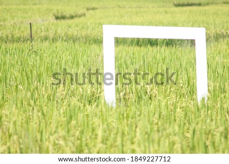 A white frame in the middle of the field