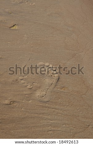 Wet sand texture with one big footprint